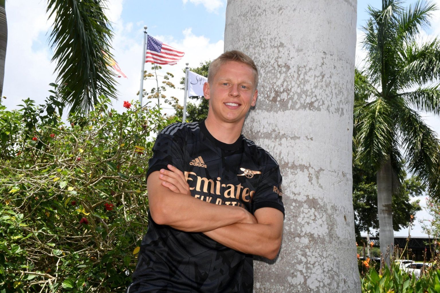 wallpaperOleksandr Zinchenko