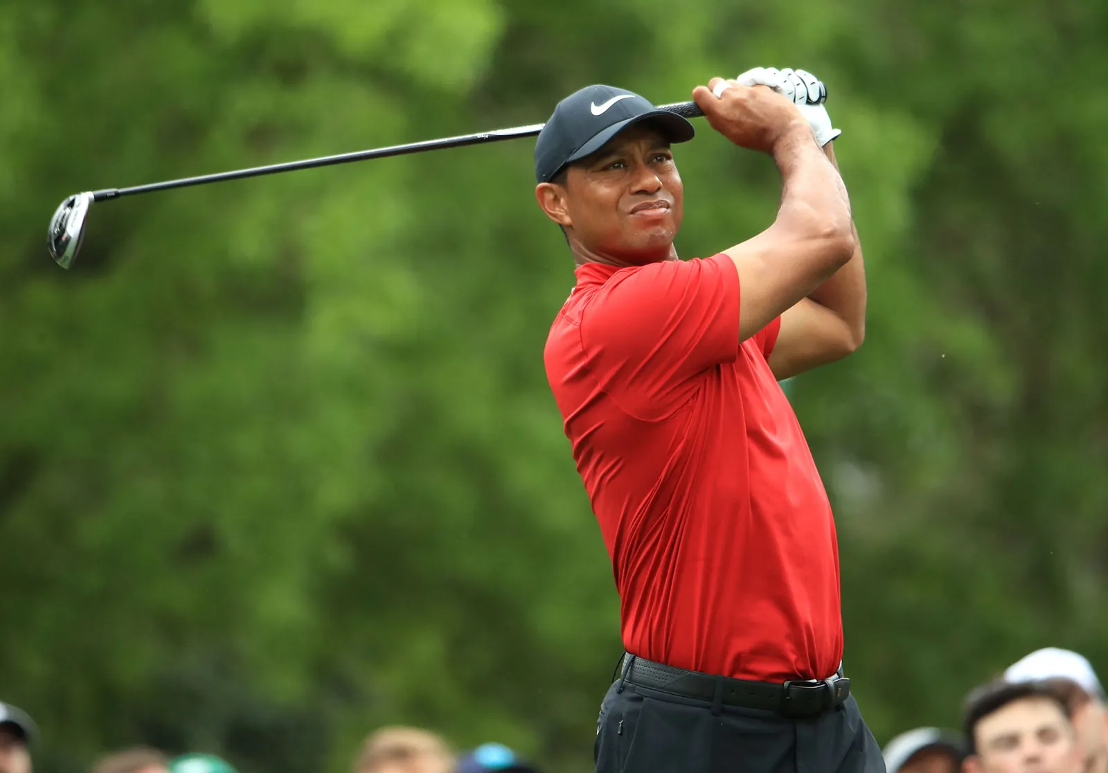 wallpaper hd Tiger Woods