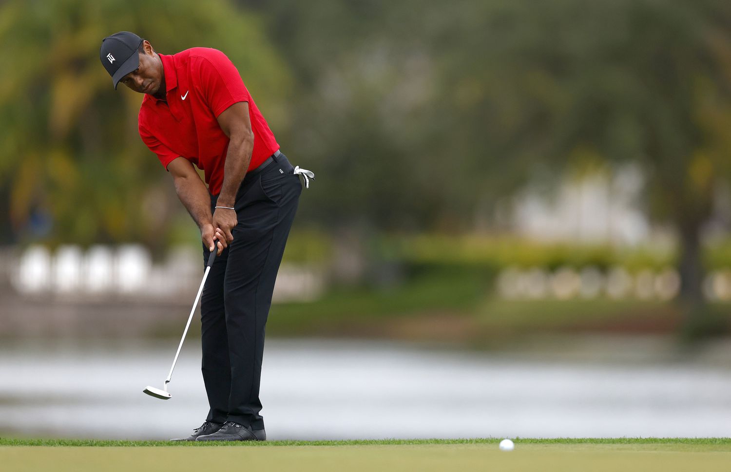 wallpaper Tiger Woods