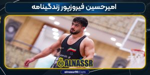 امیرحسین فیروزپور