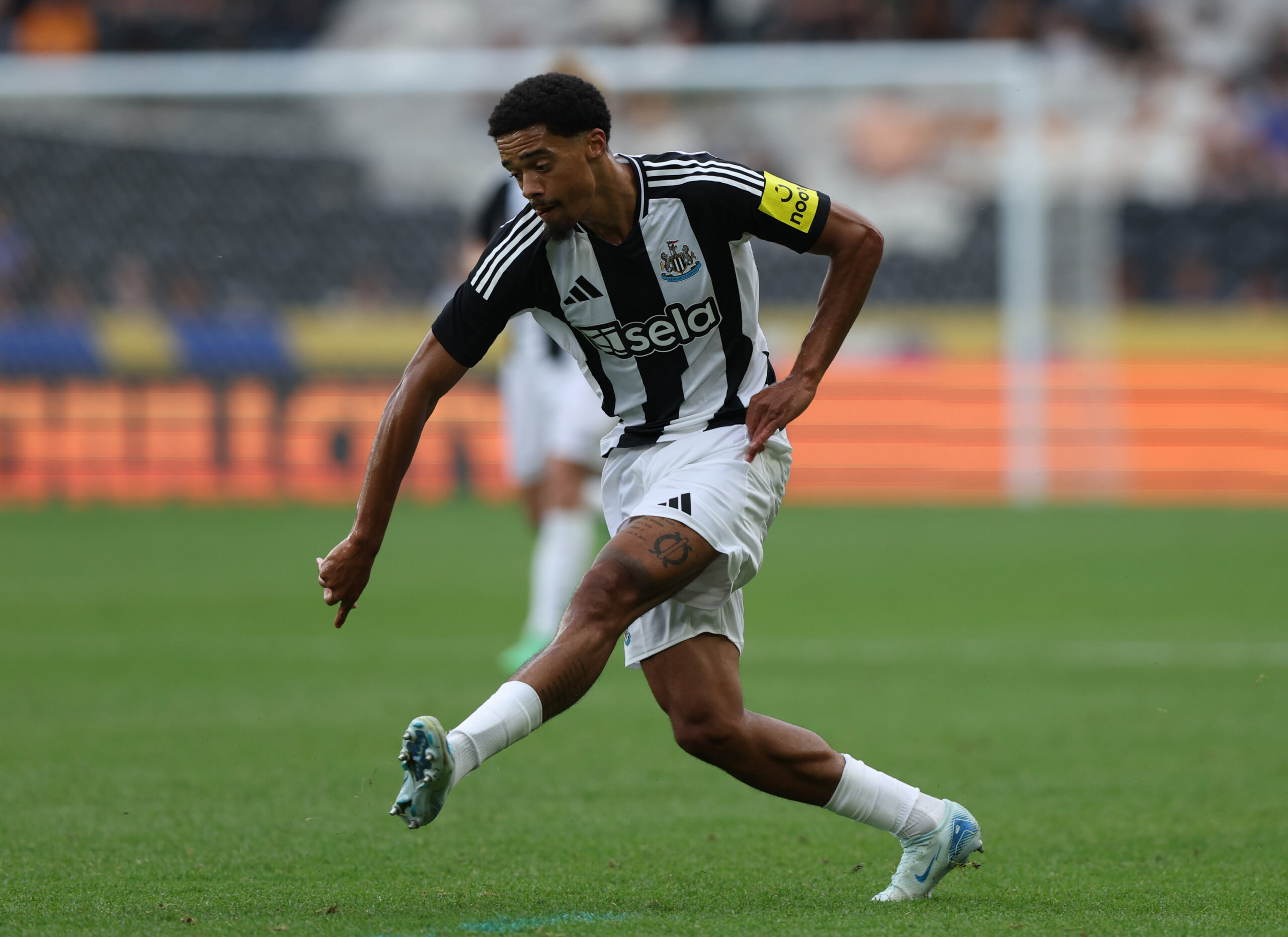 جمال لوییس عکس ها