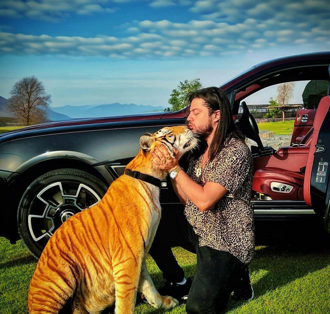 حیوانات خانگی غفوری حیوانات خانگی غفوری