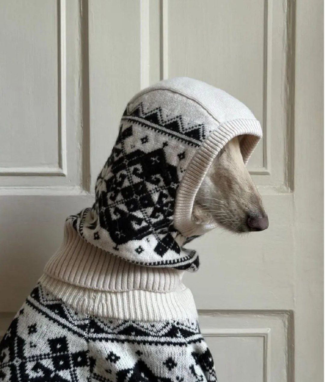 عکس سامانتا