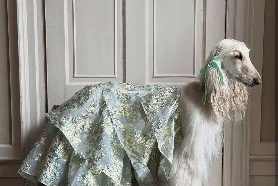 عکس استایل سامانتا 