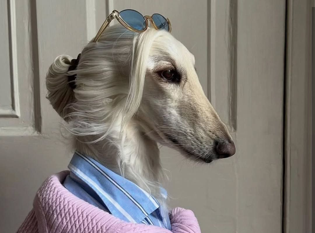 استایل سامانتا سگ