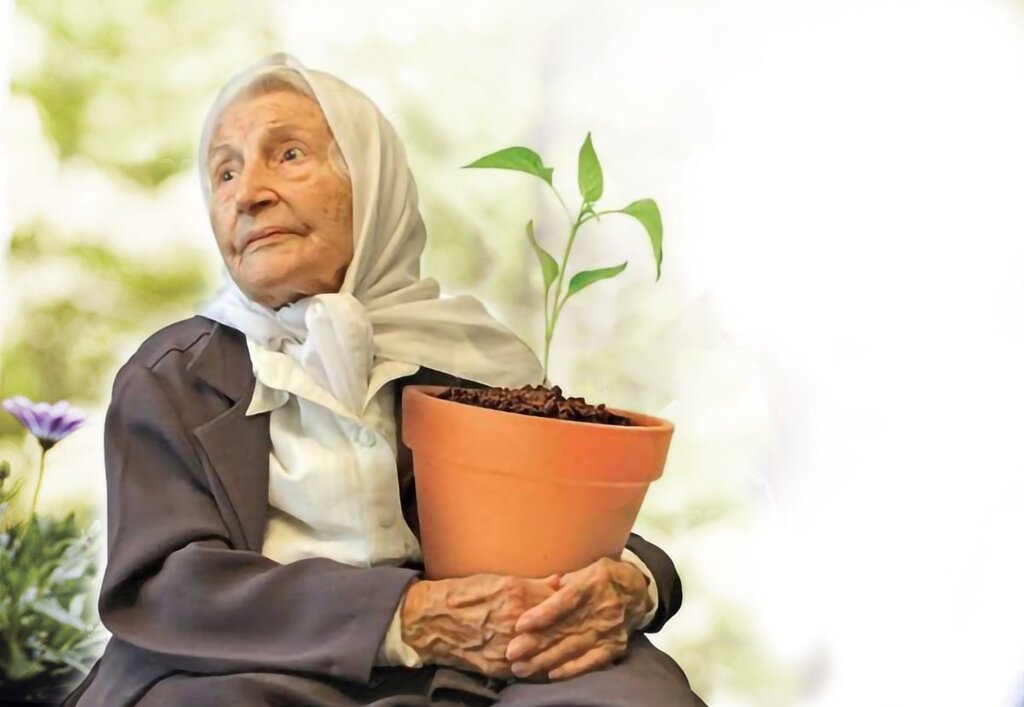 عکس جذاب مه‌لقا ملاح  