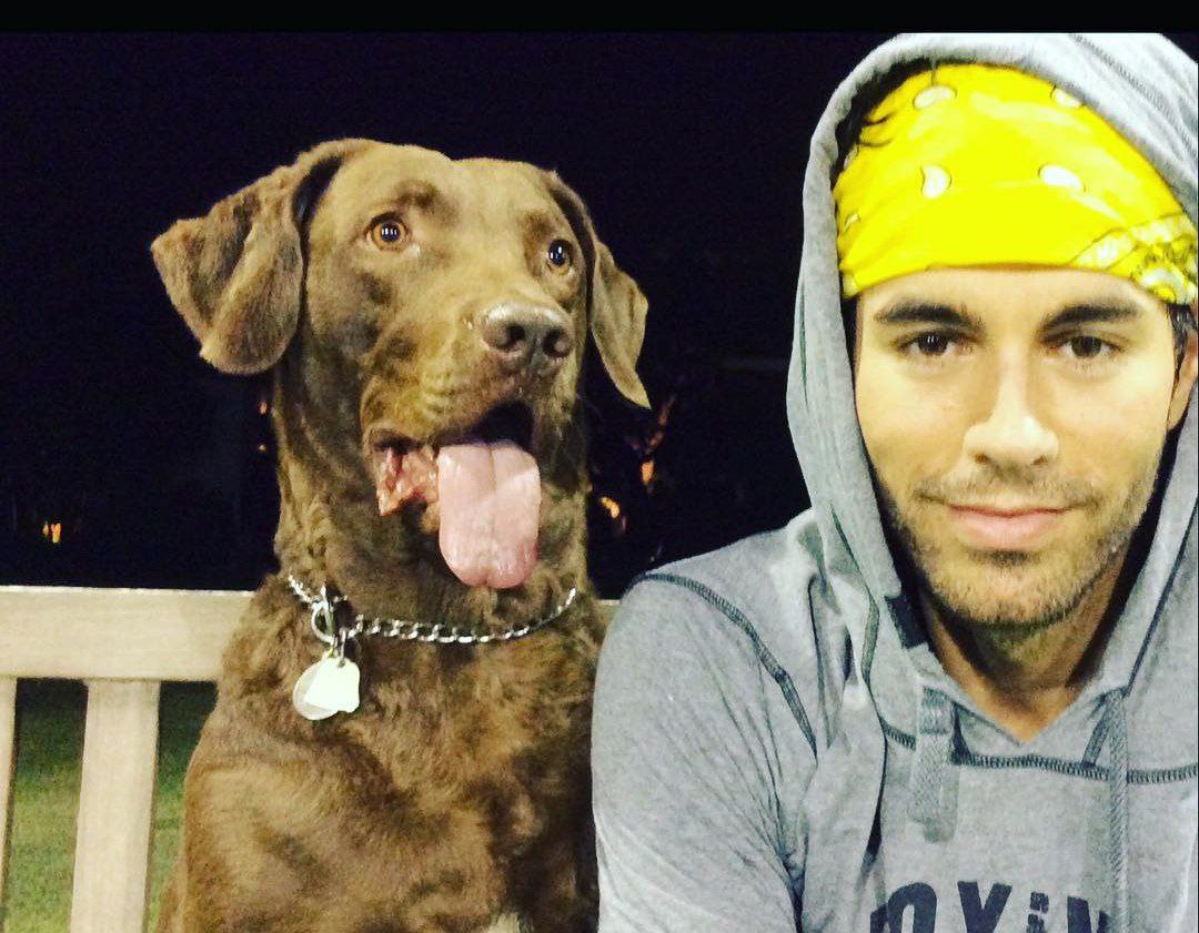 عکس انریکه ایگلسیاس